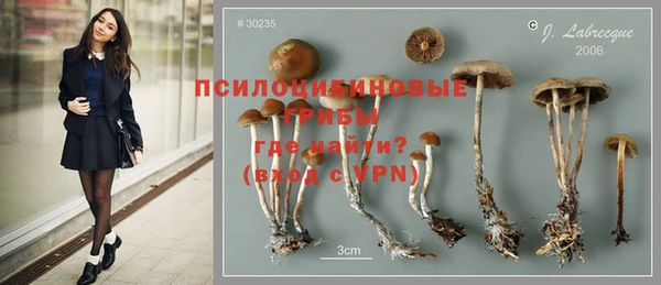 PSILOCYBIN Михайлов
