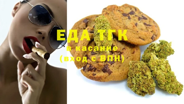 PSILOCYBIN Михайлов