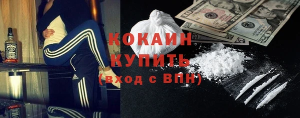 PSILOCYBIN Михайлов