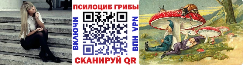 darknet клад  Инза  Галлюциногенные грибы Magic Shrooms  где купить  