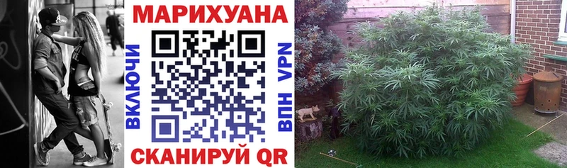 Бошки Шишки THC 21%  Инза 
